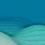 تجهیزات